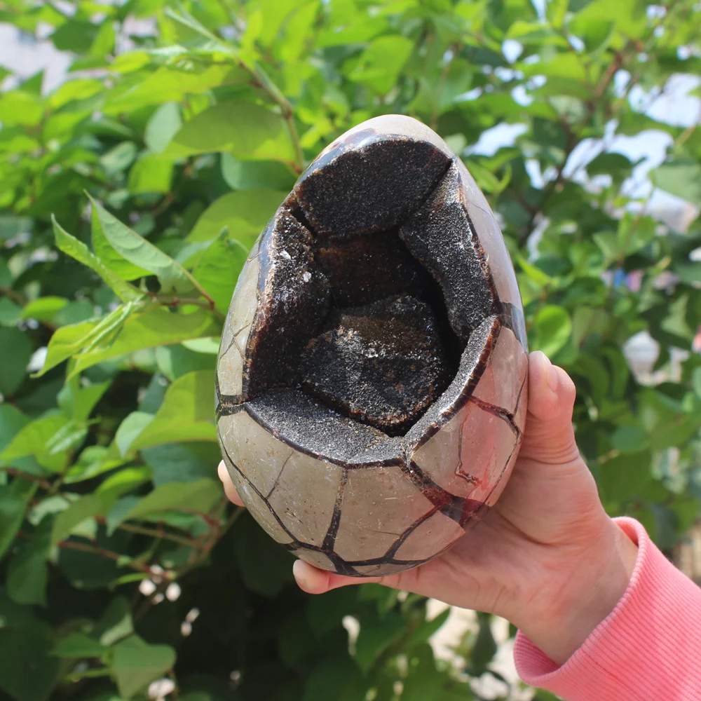 1930g Natural curvature of the furnishing articles Turtle grain stone egg Ball Septarian nodule Crystal Healing quartz
1930g Natural curvature of the furnishing articles Turtle grain stone egg Ball Septarian nodule Crystal Healing quartz
