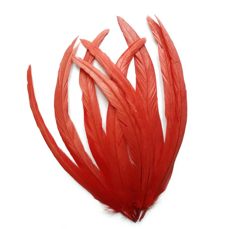 Wholesale natural dyed cock tail pheasant feathers 50-100pcs 40-45cm DIY decor feathers for crafts feathers for jewelry making
Wholesale natural dyed cock tail pheasant feathers 50-100pcs 40-45cm DIY decor feathers for crafts feathers for jewelry making