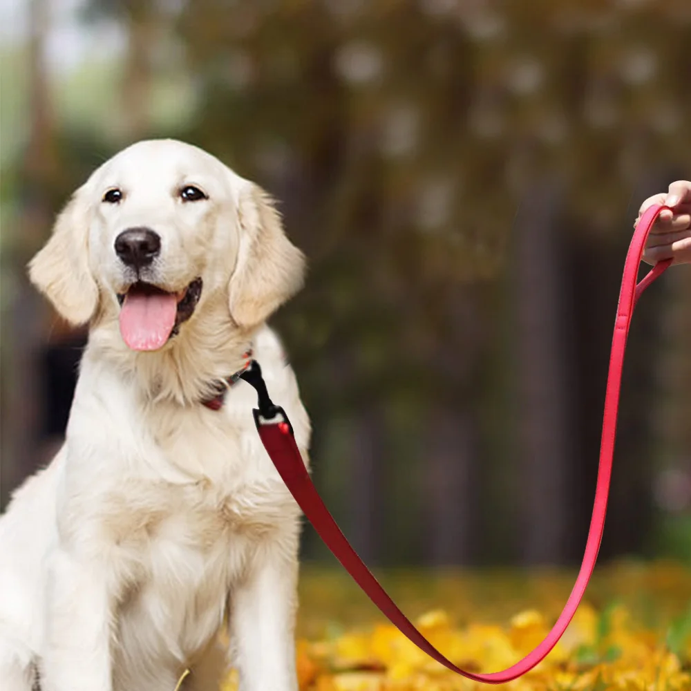 Dog Leash Harness Leather Lead Pet Dog Puppy Walking Running Leashes Training Rope Belt For Small Medium Large Dogs Pet Supplies
Dog Leash Harness Leather Lead Pet Dog Puppy Walking Running Leashes Training Rope Belt For Small Medium Large Dogs Pet Supplies