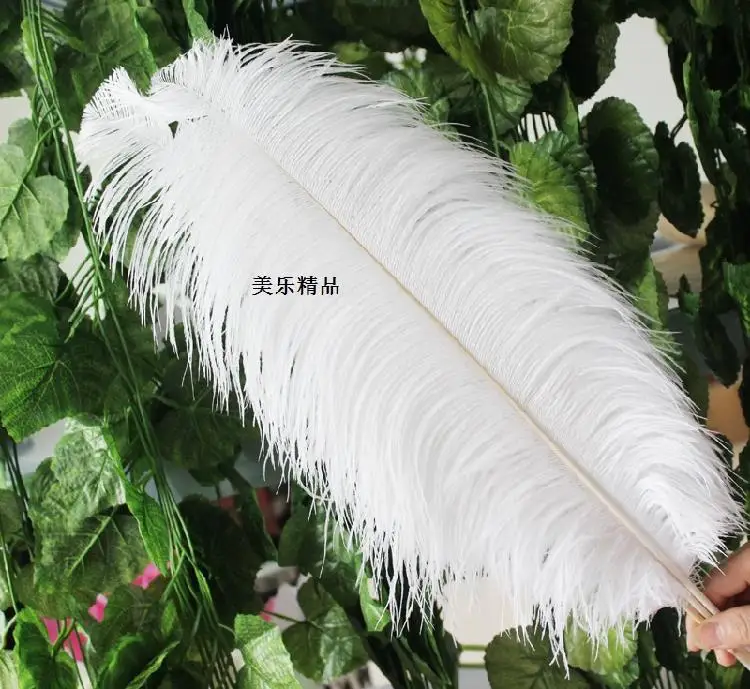10 PCS/lot beautiful White ostrich feather 40-45 cm / 16 to 18 inches Wedding feather white Ostrich plumage
10 PCS/lot beautiful White ostrich feather 40-45 cm / 16 to 18 inches Wedding feather white Ostrich plumage