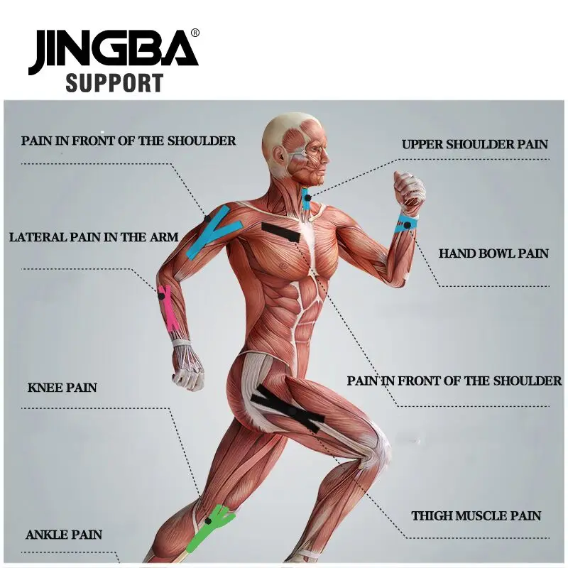 JINGBA SUPPORT 2 Size 5M Length elastic bandage Sport Tape Kinesiology Tape Athletic Running Gym Tennis Knee Muscle Pain Care
JINGBA SUPPORT 2 Size 5M Length elastic bandage Sport Tape Kinesiology Tape Athletic Running Gym Tennis Knee Muscle Pain Care