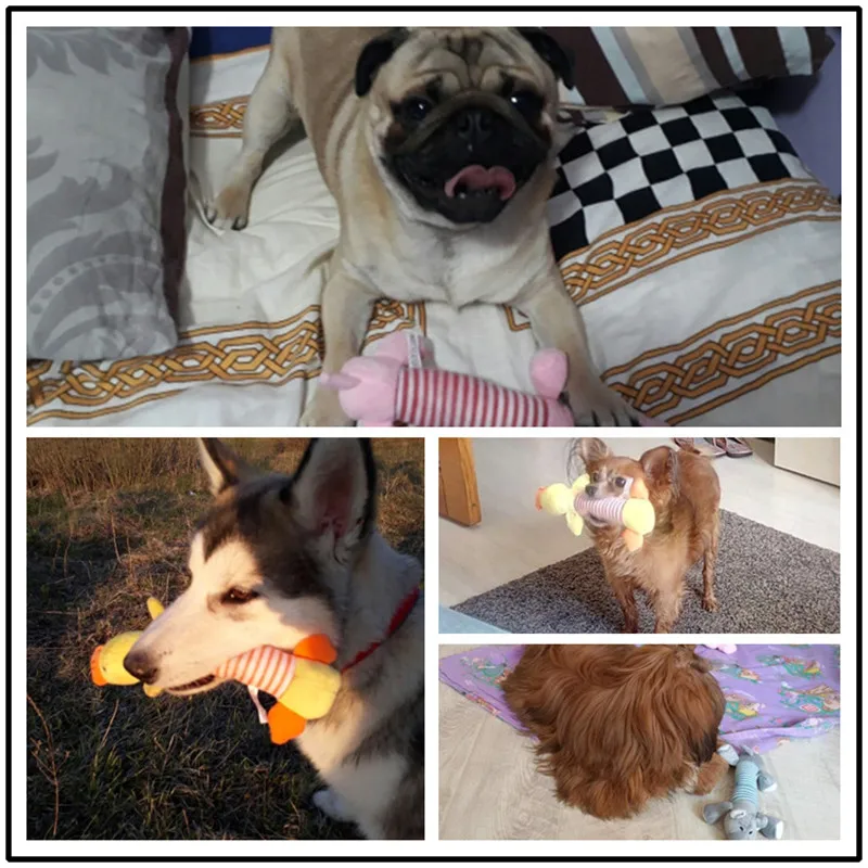 High Quality Cute Dog Cat Pet Chew Toys Canvas Durability Vocalization Dolls Bite Toys for Dog Accessories Pet Dog Products
High Quality Cute Dog Cat Pet Chew Toys Canvas Durability Vocalization Dolls Bite Toys for Dog Accessories Pet Dog Products
