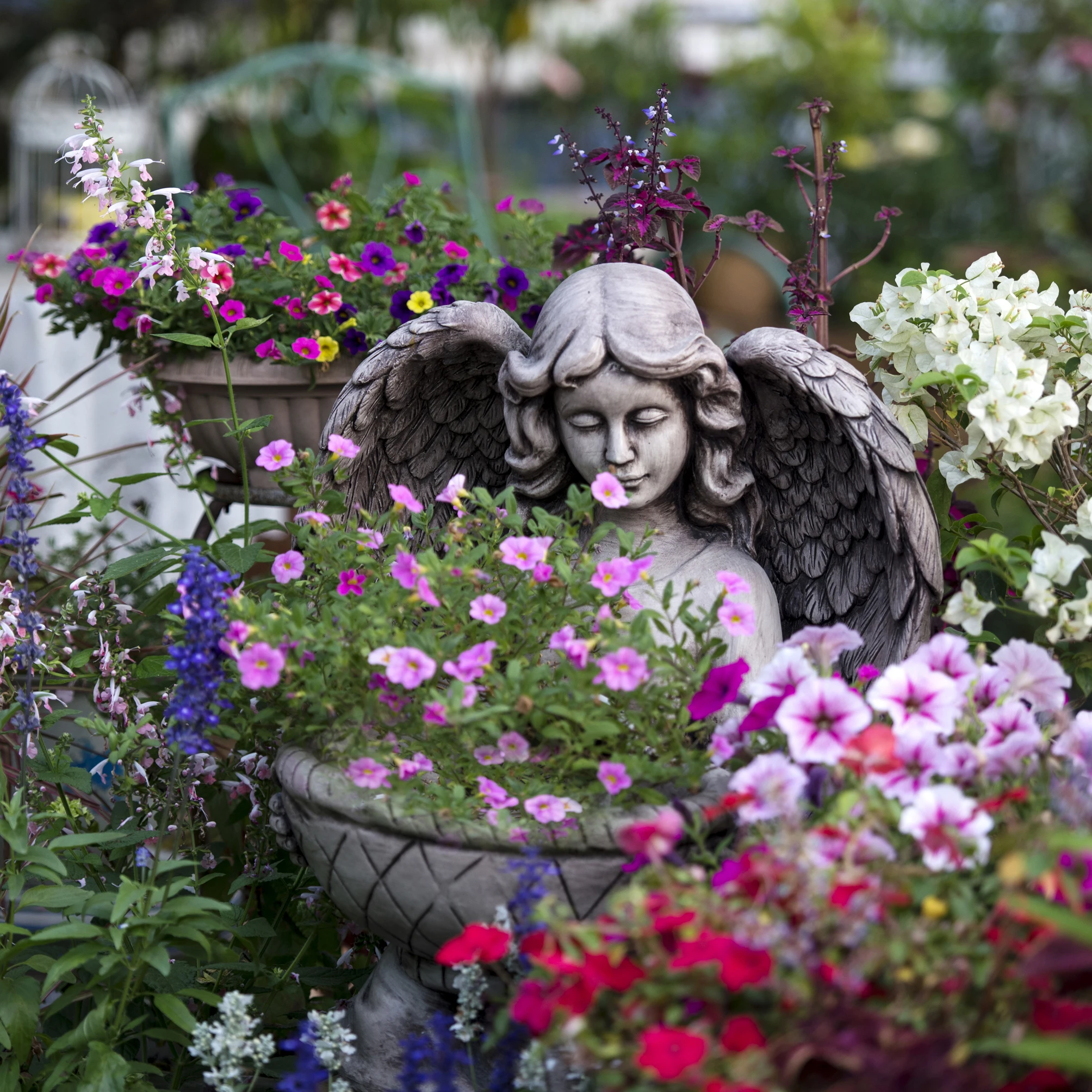 Outdoor Gardening Cement Angel Flowerpot Ornaments Garden Succulent Large Caliber Potted Decoration Courtyard Furnishing Crafts
Outdoor Gardening Cement Angel Flowerpot Ornaments Garden Succulent Large Caliber Potted Decoration Courtyard Furnishing Crafts