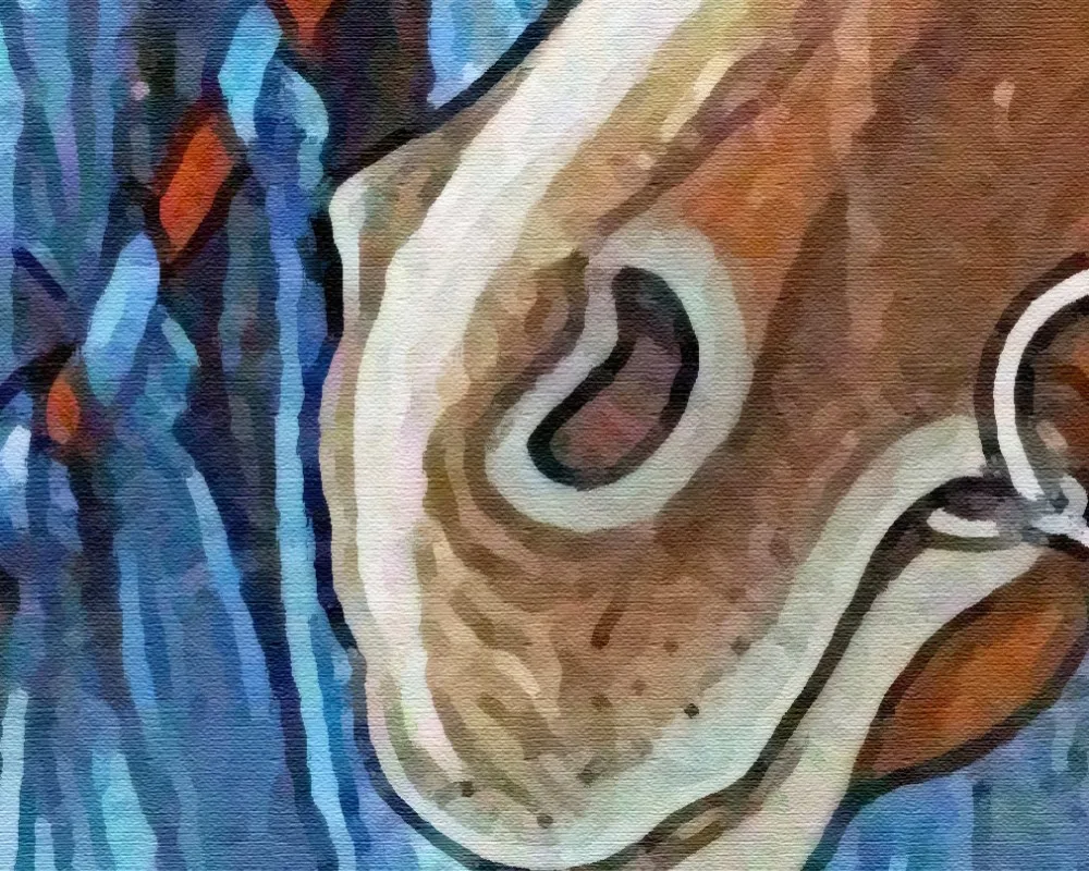 Free Shipping Ethnic Style Wallpaper Hand-Painted Art Mongolian Horse War Horse Hotel Restaurant Mural Wall Custom 3D Mural
Free Shipping Ethnic Style Wallpaper Hand-Painted Art Mongolian Horse War Horse Hotel Restaurant Mural Wall Custom 3D Mural