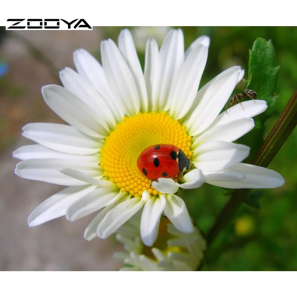 3d Diamond Embroidery Floral Painting Cross Stitch White Sunflower Diy Mosaic Diamond Square Rhinestone Home Decoration F828
3d Diamond Embroidery Floral Painting Cross Stitch White Sunflower Diy Mosaic Diamond Square Rhinestone Home Decoration F828