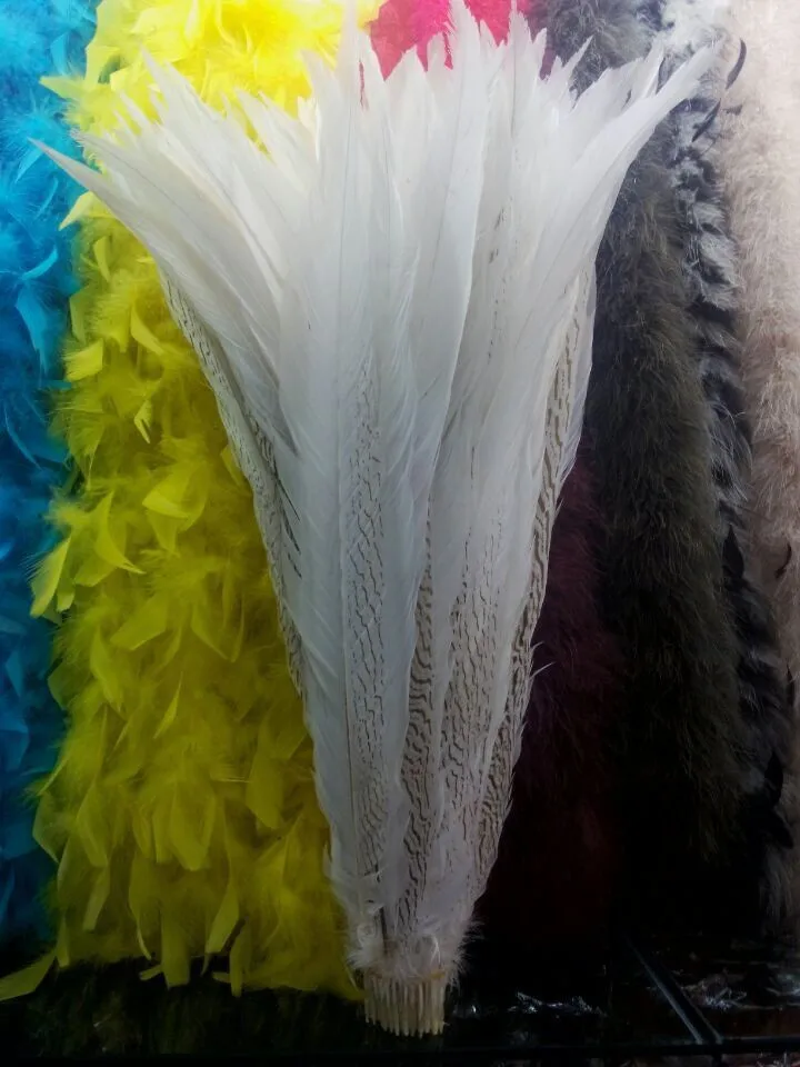 Wholesale !10 PCS Rare beautiful Silver pheasant tail feathers 65-70cm /26-28inches
Wholesale !10 PCS Rare beautiful Silver pheasant tail feathers 65-70cm /26-28inches