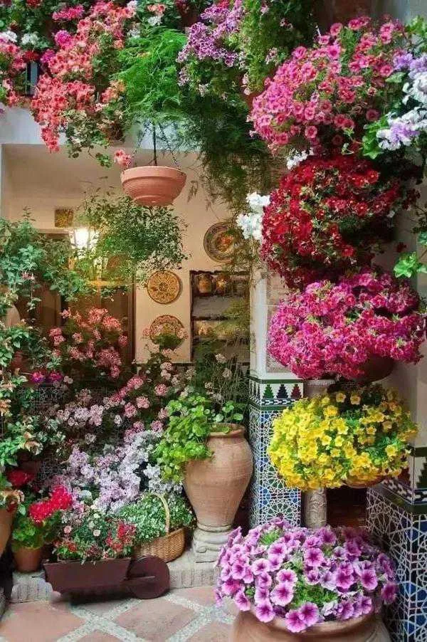Garden Views Flower Shelf Scenery Needlework,Cross stitch Handmade 14CT Canvas DIY,Cross-stitch kits,For Embroidery Art Home
Garden Views Flower Shelf Scenery Needlework,Cross stitch Handmade 14CT Canvas DIY,Cross-stitch kits,For Embroidery Art Home