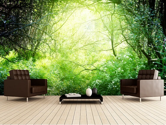 Custom natural wallpaper, Deep Forest Light,3D wallpaper murals for living room bedroom restaurant background wall wallpaper
Custom natural wallpaper, Deep Forest Light,3D wallpaper murals for living room bedroom restaurant background wall wallpaper
