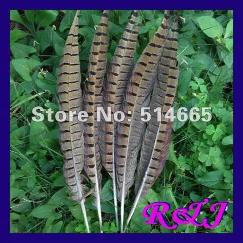 Free Shipping Super Hot 100pcs natural pheasant Feather product For Party Performance Approx 30-35cm 12-14inch
Free Shipping Super Hot 100pcs natural pheasant Feather product For Party Performance Approx 30-35cm 12-14inch