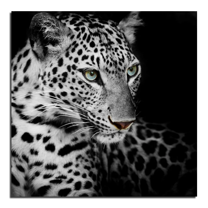 Black and white leopard 40x40 Diamond embroidery Diy diamond square drill rhinestone pasted Crafts Needlework home decoration
Black and white leopard 40x40 Diamond embroidery Diy diamond square drill rhinestone pasted Crafts Needlework home decoration