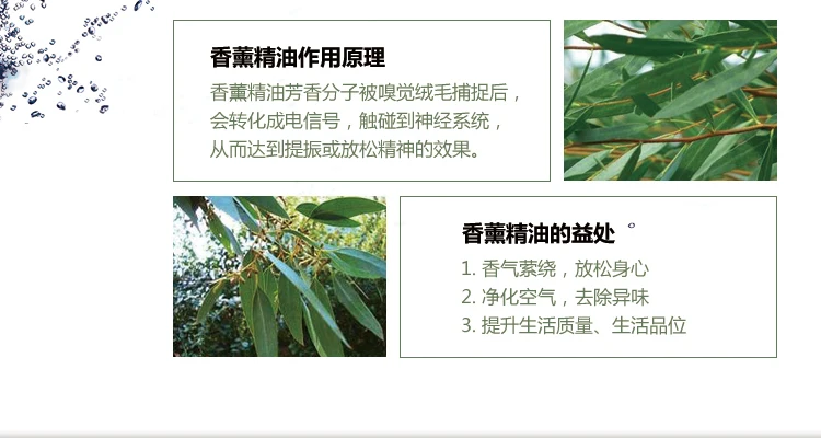 Eucalyptus Water-soluble Essential Oils Aroma Purification Air Haze Breathing Smooth Bath Spa Insect Repellent Essential Oil
Eucalyptus Water-soluble Essential Oils Aroma Purification Air Haze Breathing Smooth Bath Spa Insect Repellent Essential Oil