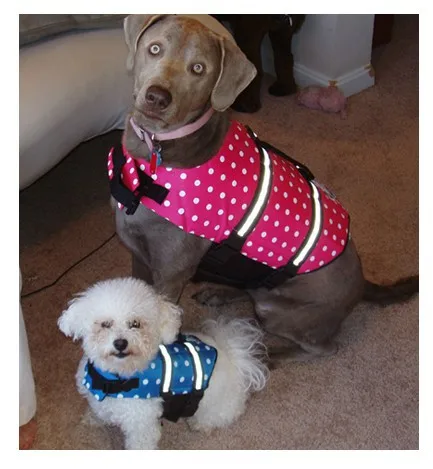 free shipping dog life jacket vest pet life jacket dog clothing X-small Small Medium Large X-large
free shipping dog life jacket vest pet life jacket dog clothing X-small Small Medium Large X-large
