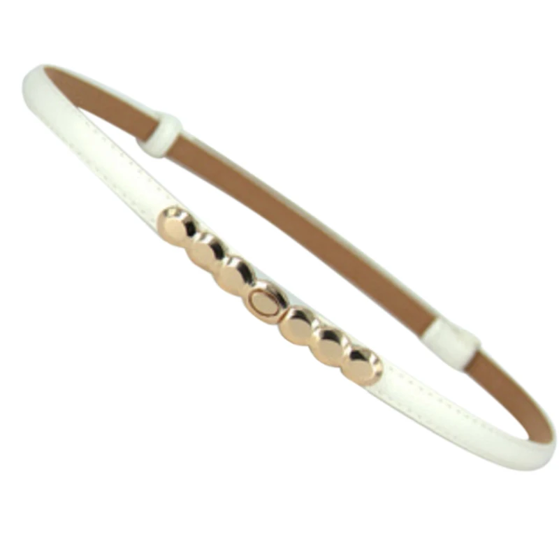 Women Metal Plate Belts Female Thin Belts Ladies Buckle Belt Faux Leather Dress Waistband
Women Metal Plate Belts Female Thin Belts Ladies Buckle Belt Faux Leather Dress Waistband