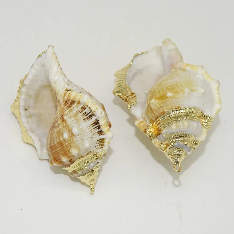 DIY Jewelry Making Vintage Natural Shell Pendants Gold Plated Abalone Shell Pendants
DIY Jewelry Making Vintage Natural Shell Pendants Gold Plated Abalone Shell Pendants