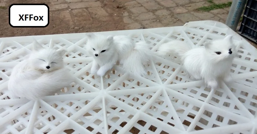 3 pieces a set real life cute fox models plastic&furs white fox dolls gift about 8.5-12cm xf1663
3 pieces a set real life cute fox models plastic&furs white fox dolls gift about 8.5-12cm xf1663
