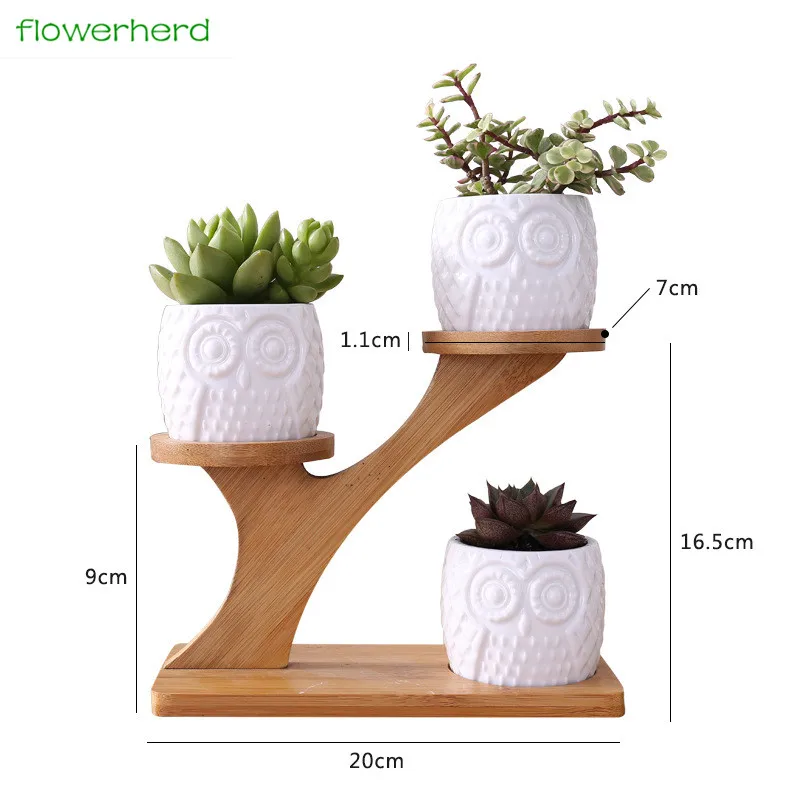 1 Set Ceramic Owl Garden Pots Pergola Modern Decorative Nursery Succulent Plant Pot 3 Bonsai Planters with 3-Tier Bamboo Pergola
1 Set Ceramic Owl Garden Pots Pergola Modern Decorative Nursery Succulent Plant Pot 3 Bonsai Planters with 3-Tier Bamboo Pergola