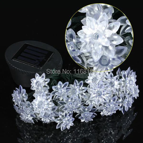 Christmas Party Wedding Outdoor Decorations LED Lights 30 LED lotus Shape Outdoor Garden String light Solar String Lights
Christmas Party Wedding Outdoor Decorations LED Lights 30 LED lotus Shape Outdoor Garden String light Solar String Lights