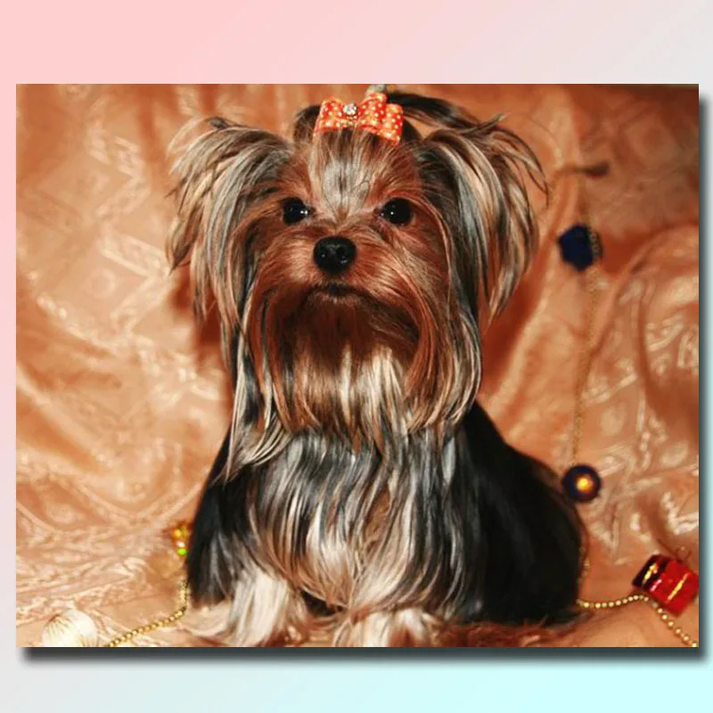 5d full Diamond Painting dogs Diy Diamond Embroidery Mosaic Picture Rhinestone Handmade Kits Animal Pattern Home Decor gift
5d full Diamond Painting dogs Diy Diamond Embroidery Mosaic Picture Rhinestone Handmade Kits Animal Pattern Home Decor gift