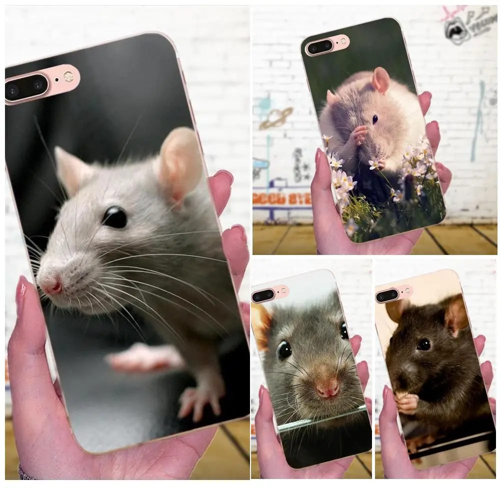 Мягкие чехлы для Xiaomi Note 3 4 Mi3 Mi4 Mi4C Mi4i Mi5 Mi 5S 5X 6 6X 8 SE A1 Max Mix 2 милые животные крысы