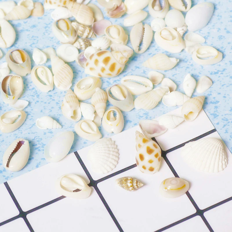 Natural Conch Shell DIY Handcraft Crystal Epoxy Filler Practical Ornaments Accessories Candle Pottery Craft Decoration Materials
Natural Conch Shell DIY Handcraft Crystal Epoxy Filler Practical Ornaments Accessories Candle Pottery Craft Decoration Materials