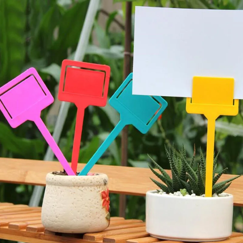 500PCS Plastic T-type Garden Gardening Label Plant Flower Nursery Label Tag Marker Thick 6 Color ZA6225
500PCS Plastic T-type Garden Gardening Label Plant Flower Nursery Label Tag Marker Thick 6 Color ZA6225