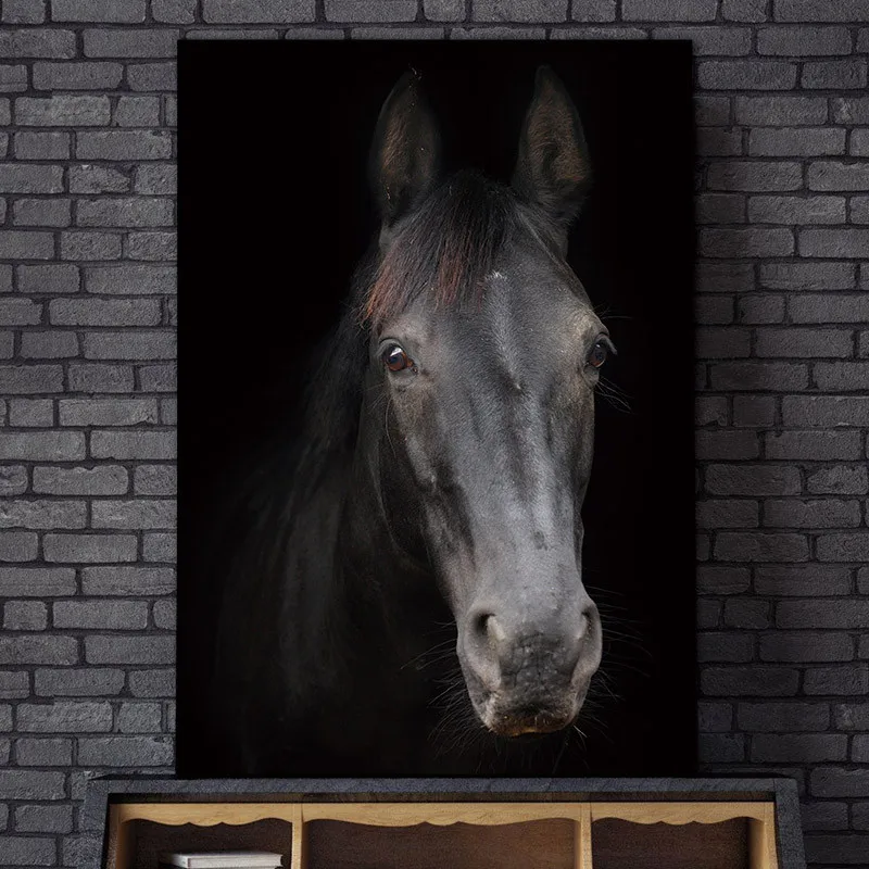 Wall art Picture wall painting art canvas Picture decor poster canvas painting animals art print horse Wall Picture no frame
Wall art Picture wall painting art canvas Picture decor poster canvas painting animals art print horse Wall Picture no frame