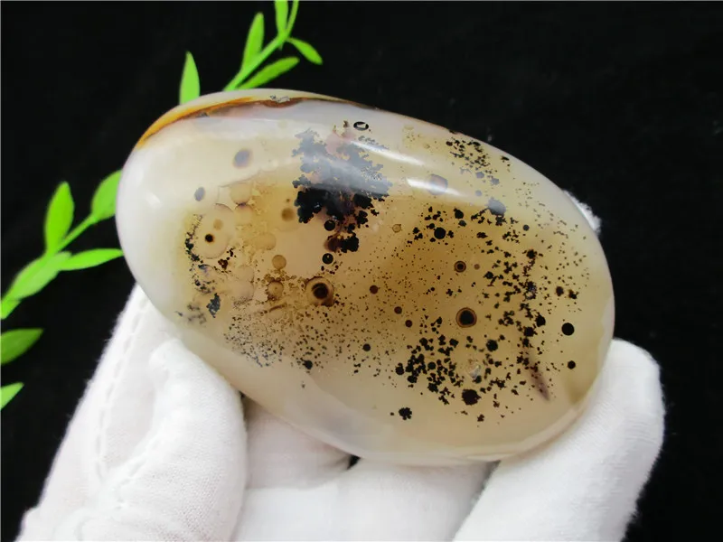 Natural Polished Aquatic Plants Agate Crystal Madagascar Crystal Stone Specimens For Fengshui Collection
Natural Polished Aquatic Plants Agate Crystal Madagascar Crystal Stone Specimens For Fengshui Collection