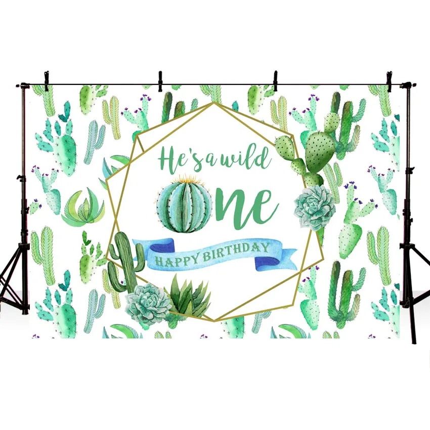 Baby Shower Birthday Party Photo Background Party Backdrop Lovely Cactus Wild Plants Personal Custom for Children Newborn
Baby Shower Birthday Party Photo Background Party Backdrop Lovely Cactus Wild Plants Personal Custom for Children Newborn