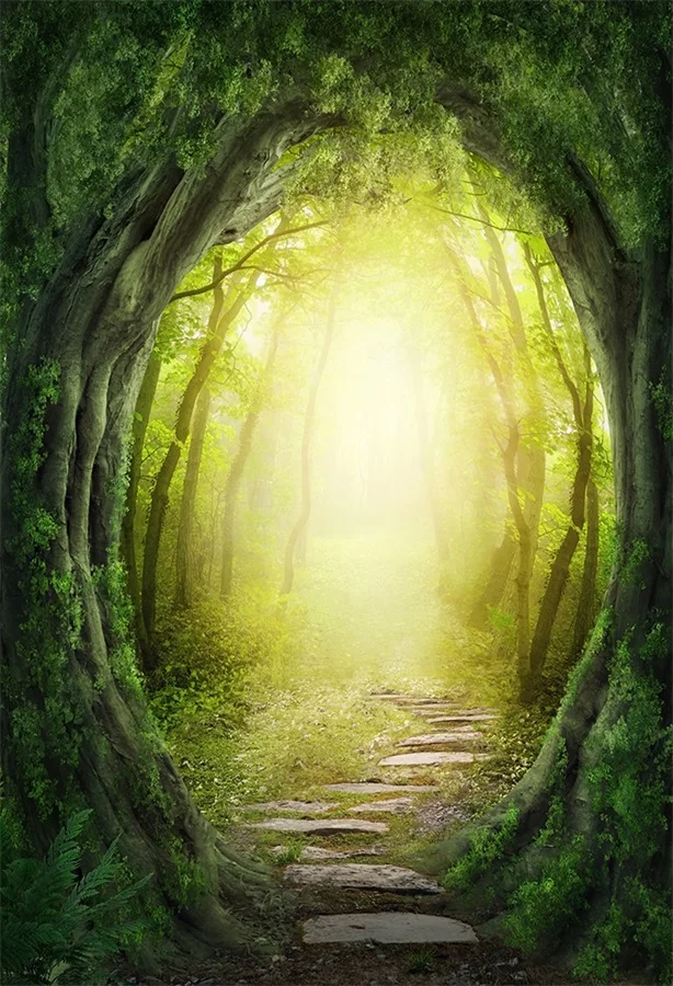 Laeacco Dreamlike Forest Trees Sunlight Scenic Photographic Backdrops Customized Photography Background For Photo Studio
Laeacco Dreamlike Forest Trees Sunlight Scenic Photographic Backdrops Customized Photography Background For Photo Studio