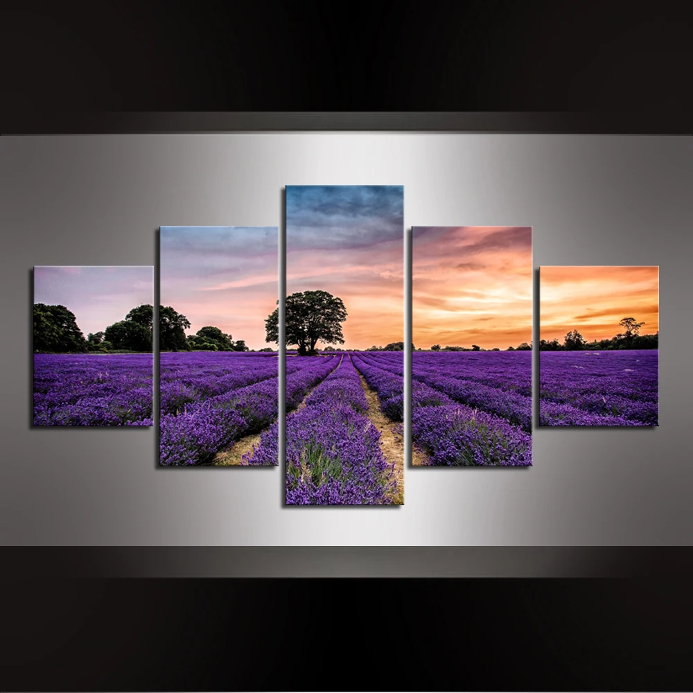 5 piece Beautiful lavender landscape Canvas painting lavender fields Canvas Print Modern Wall art For home decor drop shipping
5 piece Beautiful lavender landscape Canvas painting lavender fields Canvas Print Modern Wall art For home decor drop shipping