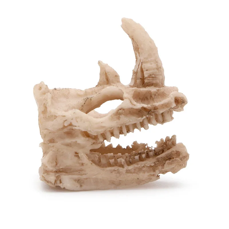 Смола Rhino череп украшение для аквариума озеленение Новинка|decorative decorative|decor aquarium