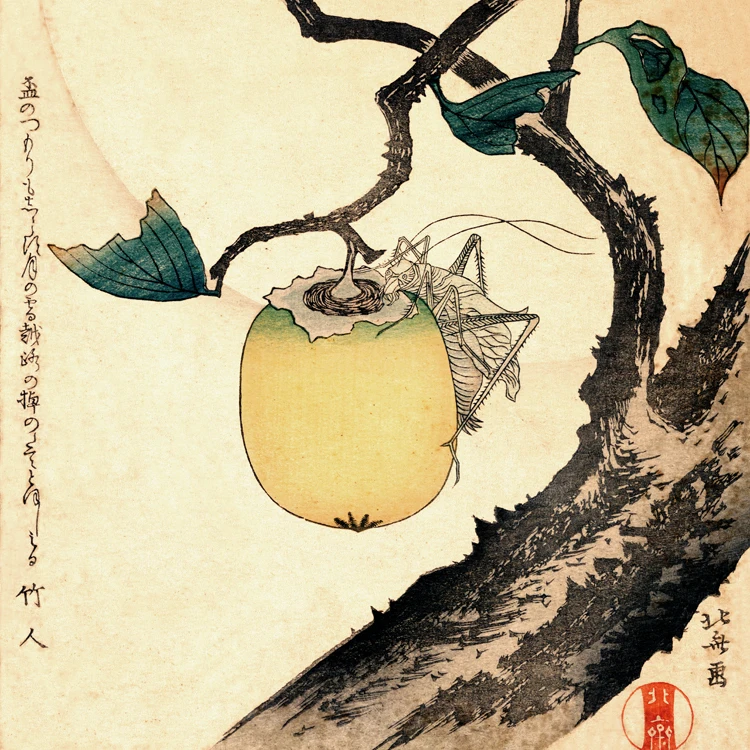 Vintage poster scenery canvas painting picture Japan traditional art Moon Persimmon and Grasshopper 1807 By Katsushika Hokusai
Vintage poster scenery canvas painting picture Japan traditional art Moon Persimmon and Grasshopper 1807 By Katsushika Hokusai