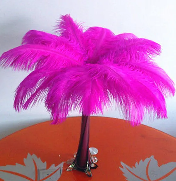 Wholesale natural feather, 100pcs / ostrich feathers 30-35CM / 12 "-14" inches, a variety of colors
Wholesale natural feather, 100pcs / ostrich feathers 30-35CM / 12 "-14" inches, a variety of colors
