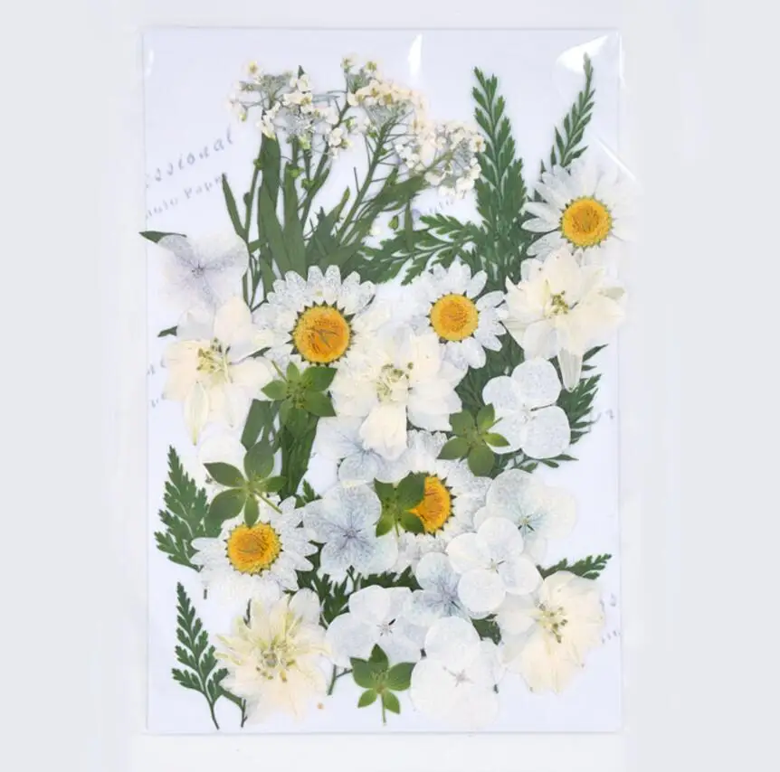 Design-9 40pcs Mixed Pressed Dried Flower Leaves Filler For Epoxy Resin Jewelry Making Postcard Frame Phone Case Craft DIY
Design-9 40pcs Mixed Pressed Dried Flower Leaves Filler For Epoxy Resin Jewelry Making Postcard Frame Phone Case Craft DIY