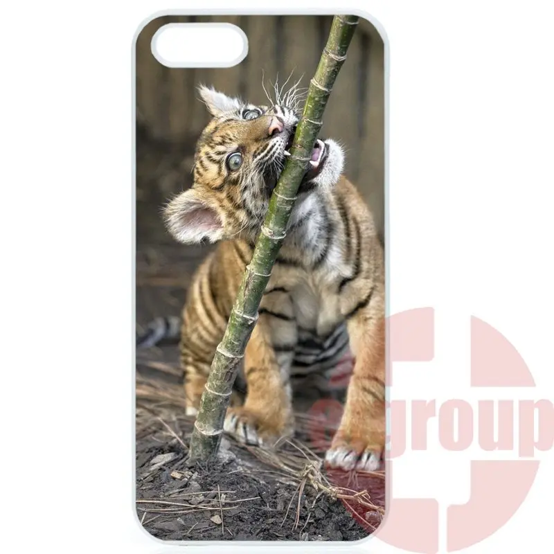 Tiger Cute For Galaxy Y S5360 Note 3 Neo Ace Nxt Plus On5 On7 On8 2016 Amazon Fire Friendship Cell Phone Case |