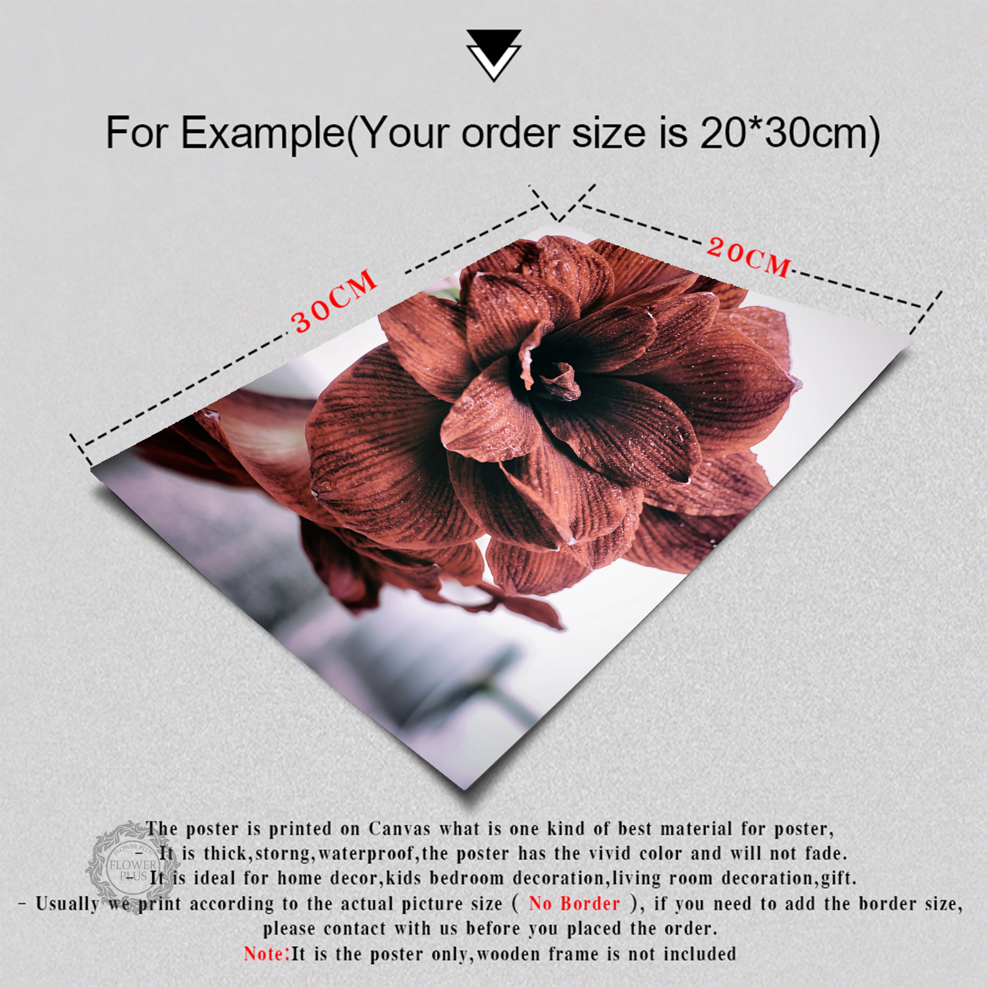 Cuadros Decoracion Salon Flowers Peony Posters and Prints Wall Pop Art Print Canvas Painting Plant Wall Pictures For Living Room
Cuadros Decoracion Salon Flowers Peony Posters and Prints Wall Pop Art Print Canvas Painting Plant Wall Pictures For Living Room