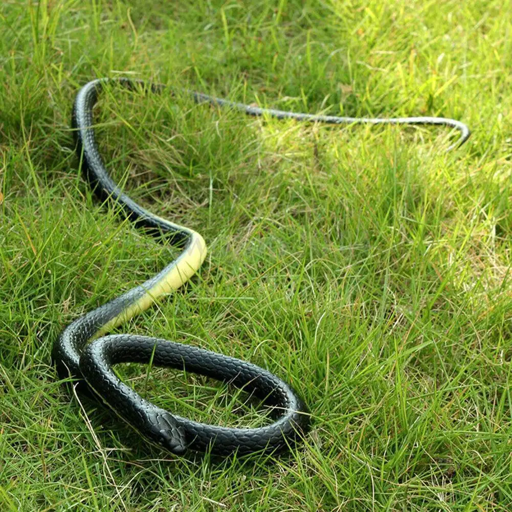 1 PC Realistic Soft Rubber Toy Snake Safari Garden Props Joke Prank Gift About 130cm Novelty And Gag Playing Jokes Toys
1 PC Realistic Soft Rubber Toy Snake Safari Garden Props Joke Prank Gift About 130cm Novelty And Gag Playing Jokes Toys