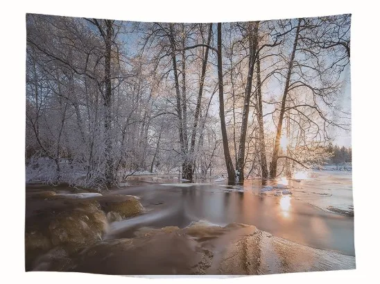 CAMMITEVER HD Forest Tapestry As if in the Forest Home Decor Fog Trees 3D Decorative Wall Tapestry Moonlight Decorative
CAMMITEVER HD Forest Tapestry As if in the Forest Home Decor Fog Trees 3D Decorative Wall Tapestry Moonlight Decorative