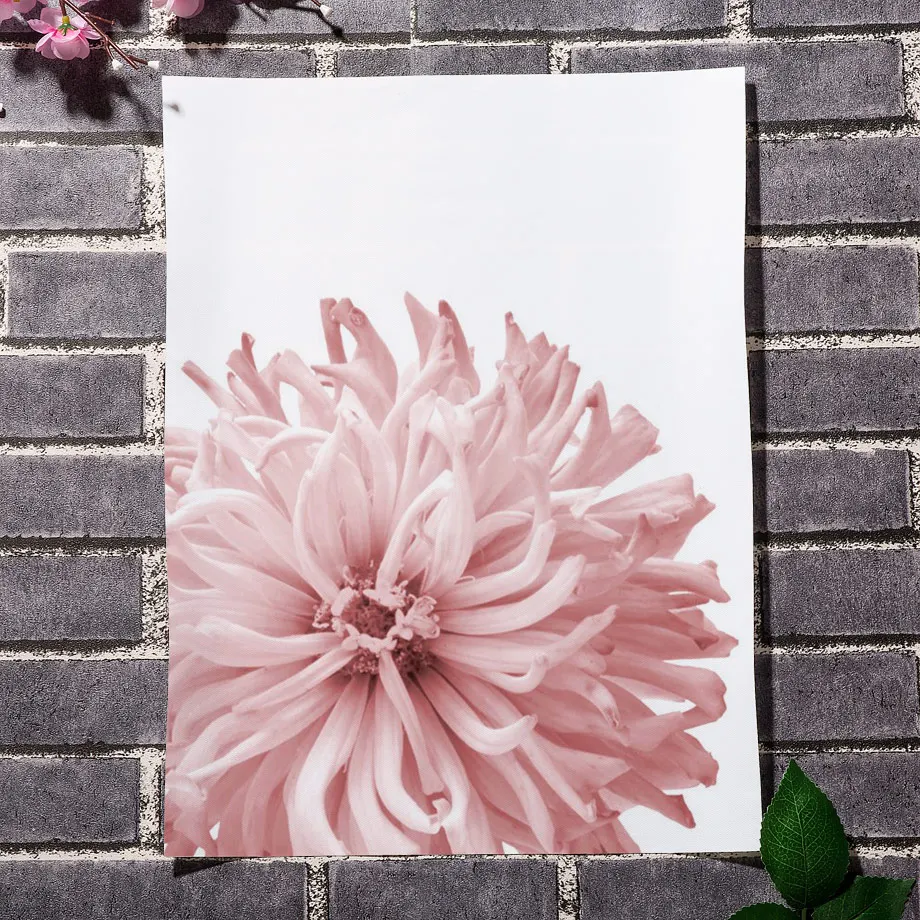 Pink Rose Chrysanthemum Flower Landscape Wall Art Canvas Painting Nordic Posters And Prints Wall Pictures For Living Room Decor 
Pink Rose Chrysanthemum Flower Landscape Wall Art Canvas Painting Nordic Posters And Prints Wall Pictures For Living Room Decor
