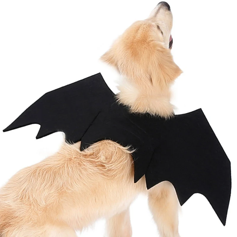 Pet Cat Dogs Halloween Cosplay Funny Costume For Dog Cats Puppies Kittens Black Bat Wings
Pet Cat Dogs Halloween Cosplay Funny Costume For Dog Cats Puppies Kittens Black Bat Wings