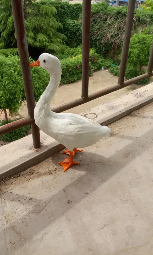 large simulation white goose 38x14x25cm toy lifelike feathers goose model home decoration gift t259
large simulation white goose 38x14x25cm toy lifelike feathers goose model home decoration gift t259