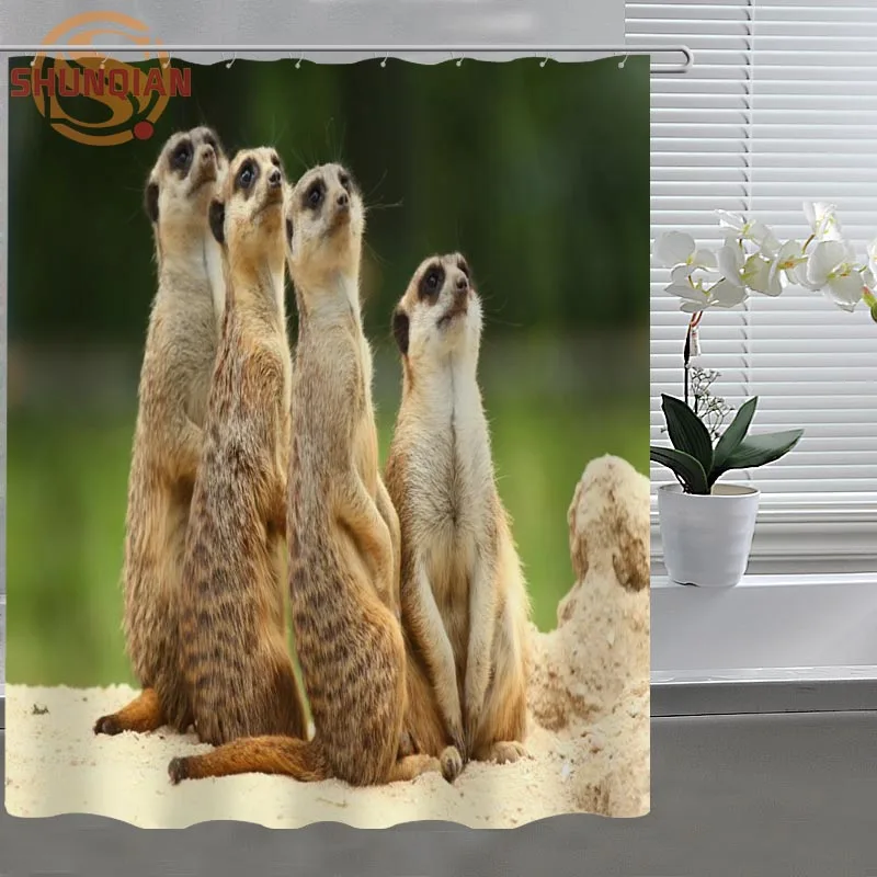 small animal meerkat Shower Curtain Eco-friendly Modern Fabric polyester Custom Shower curtain Home Decor H331DG79E
small animal meerkat Shower Curtain Eco-friendly Modern Fabric polyester Custom Shower curtain Home Decor H331DG79E