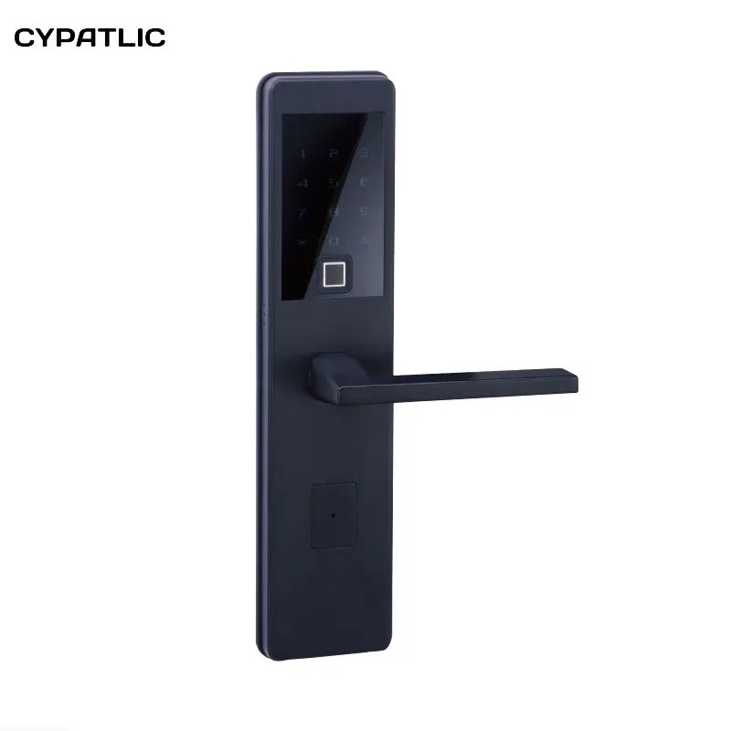 Fingerprint Scanning Smart lock Intelligent Electronic keypad Number Door Lock Biometric Door Lock
Fingerprint Scanning Smart lock Intelligent Electronic keypad Number Door Lock Biometric Door Lock