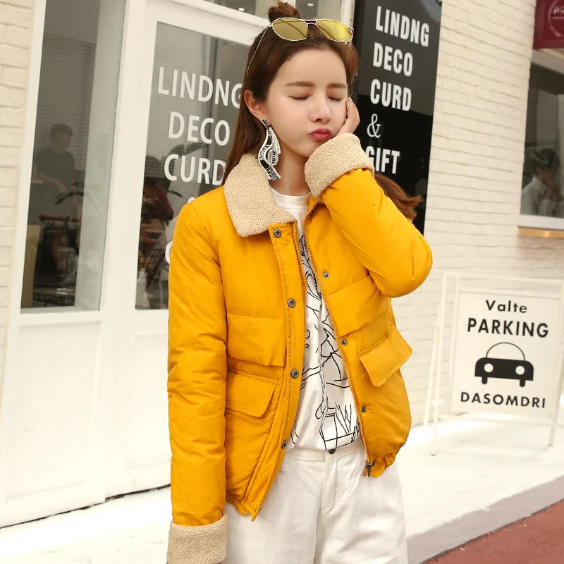 2018 jacket women winter lamb warm turn-down collar fashion winter coat women autumn breast-button outerwear for women parka
2018 jacket women winter lamb warm turn-down collar fashion winter coat women autumn breast-button outerwear for women parka
