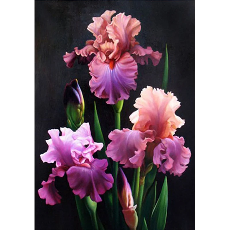 5D DIY Diamond Painting Cross Stitch Diamond Embroidery Flowers and Plant Round Diamond Mosaic Diamond Paintings Home Decor
5D DIY Diamond Painting Cross Stitch Diamond Embroidery Flowers and Plant Round Diamond Mosaic Diamond Paintings Home Decor