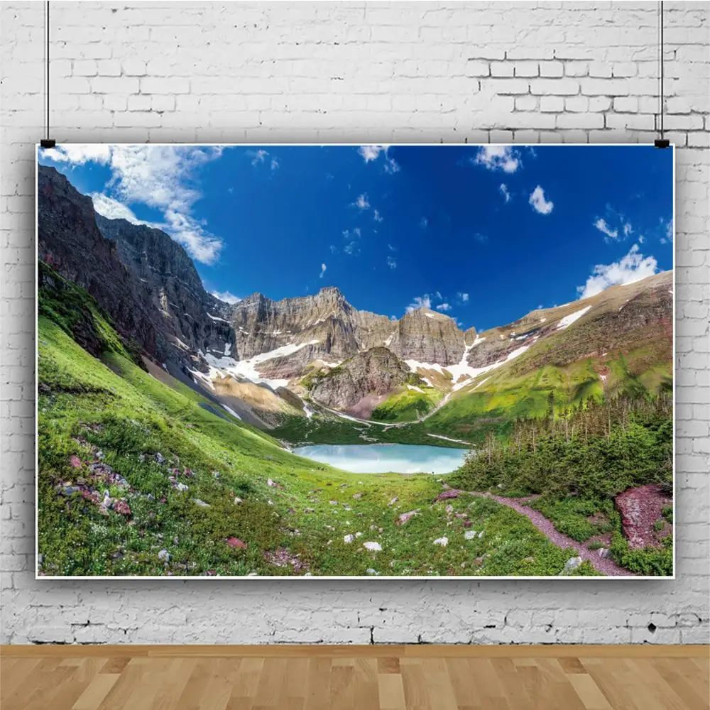 Laeacco Blue Sky Mountains Photography Backdrops Personalized Nature Scenes Photocall Photographic Backgrounds For Photo Studio
Laeacco Blue Sky Mountains Photography Backdrops Personalized Nature Scenes Photocall Photographic Backgrounds For Photo Studio