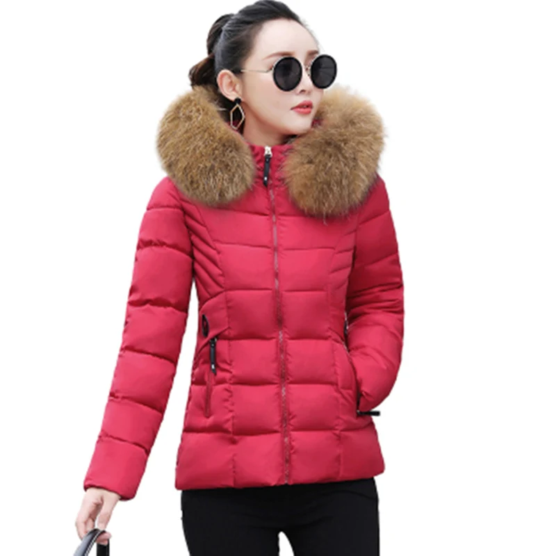 Winter Parkas New Fashion Fur Collar Hooded Outerwear Short Down Cotton Jacket Slim Large Size Warm Winter Jackets Coats Female
Winter Parkas New Fashion Fur Collar Hooded Outerwear Short Down Cotton Jacket Slim Large Size Warm Winter Jackets Coats Female
