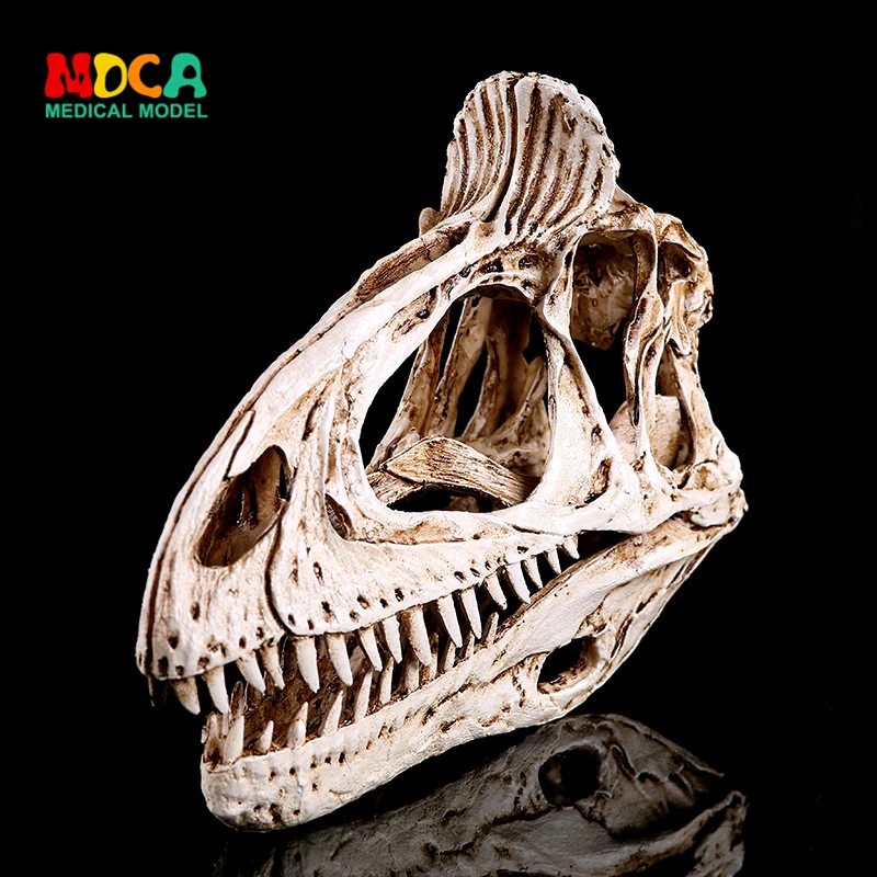 Resin craftwork dinosaur model ice ridge dragon bone furniture art decoration KLGT014
Resin craftwork dinosaur model ice ridge dragon bone furniture art decoration KLGT014