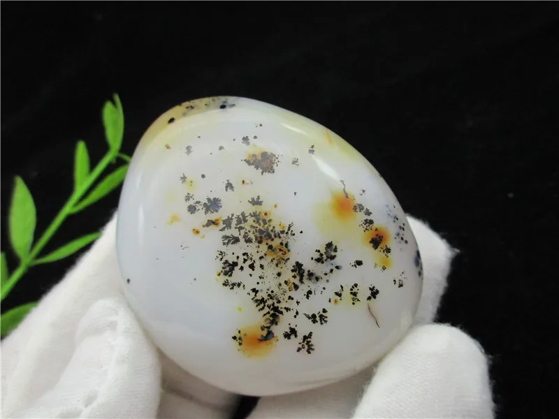 Natural Polished Aquatic Plants Agate Crystal Madagascar crystal stone specimens for fengshui collection
Natural Polished Aquatic Plants Agate Crystal Madagascar crystal stone specimens for fengshui collection
