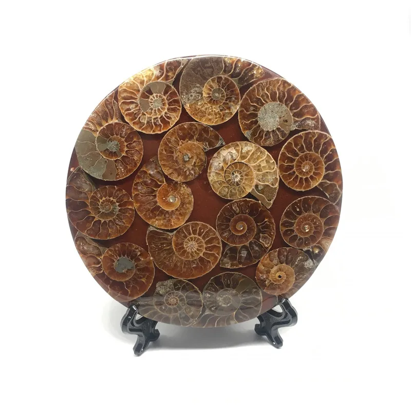 mineral crystals feng shui compass to attract money transshipment placed housing specimens collected raw or
mineral crystals feng shui compass to attract money transshipment placed housing specimens collected raw or
